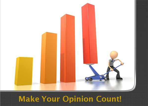 Poll of opinions shown as bar charts